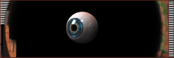 bot
